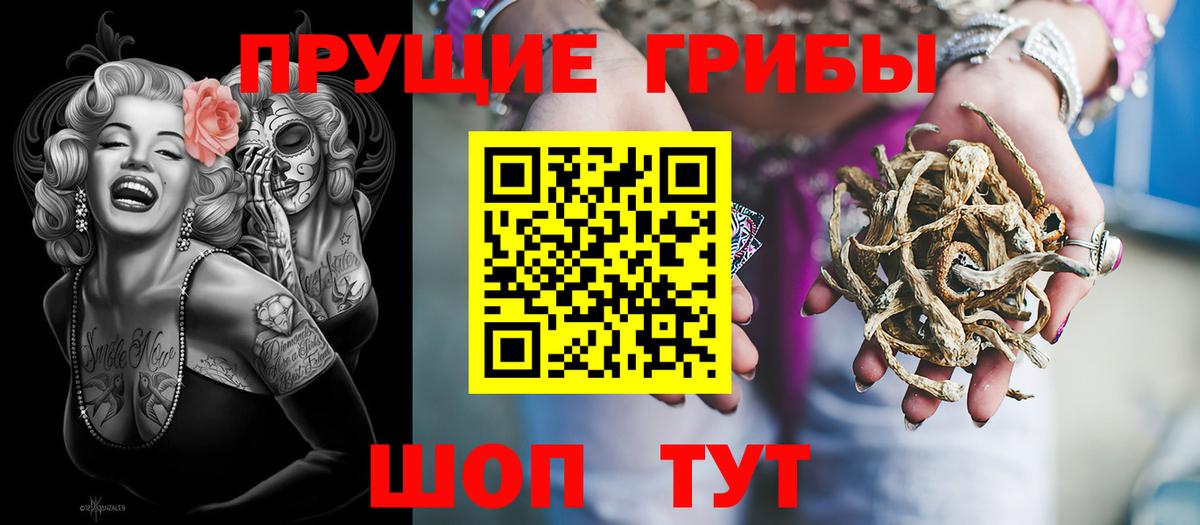 Псилоцибиновые грибы прущие грибы Пугачёв